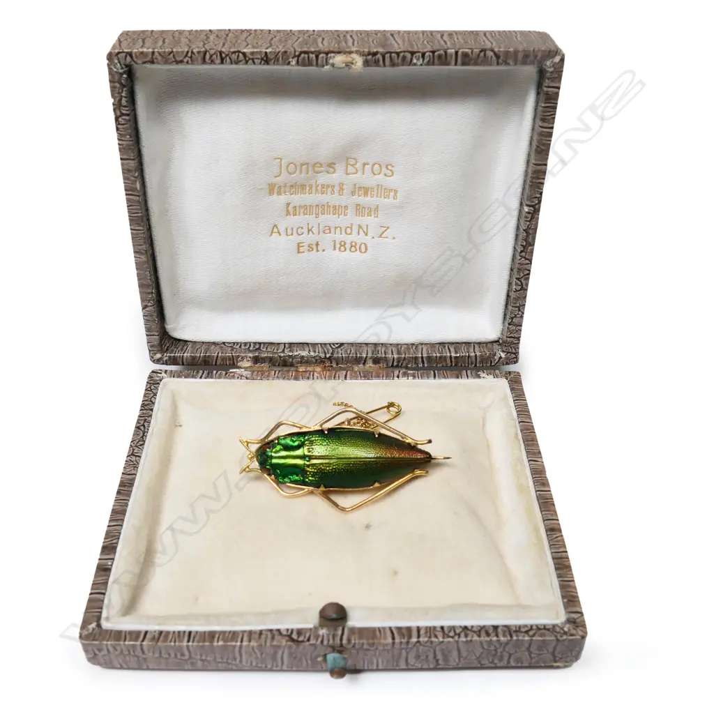 Jones Bros (Auckland) 15ct gold and scarab beetle brooch, Image 1++